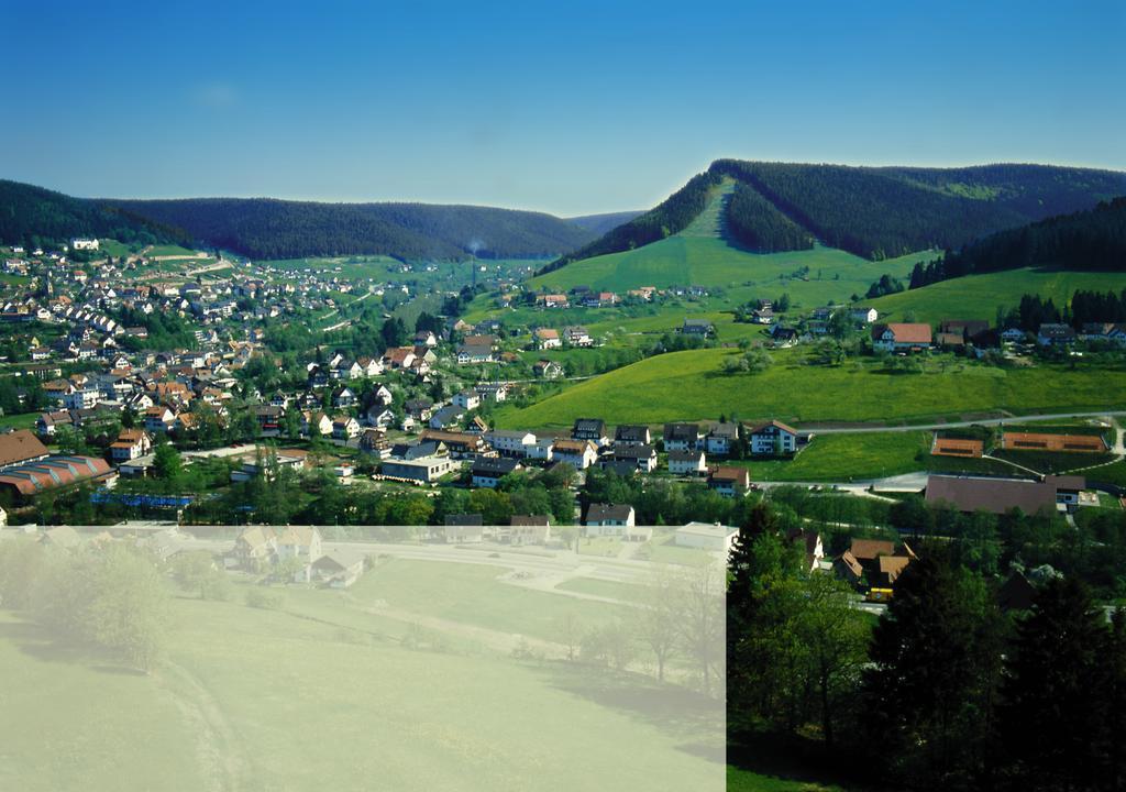 Haus Bergwiese Baiersbronn Exteriör bild