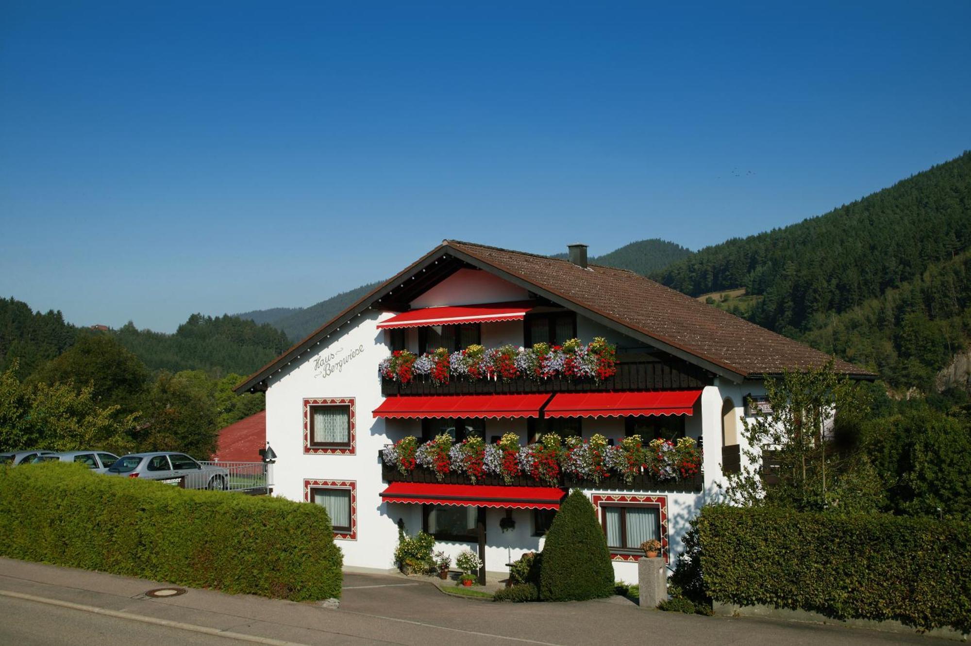Haus Bergwiese Baiersbronn Exteriör bild